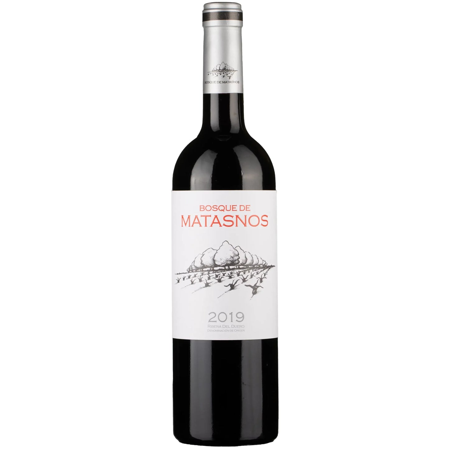 Bosque de Matasnos 2019
